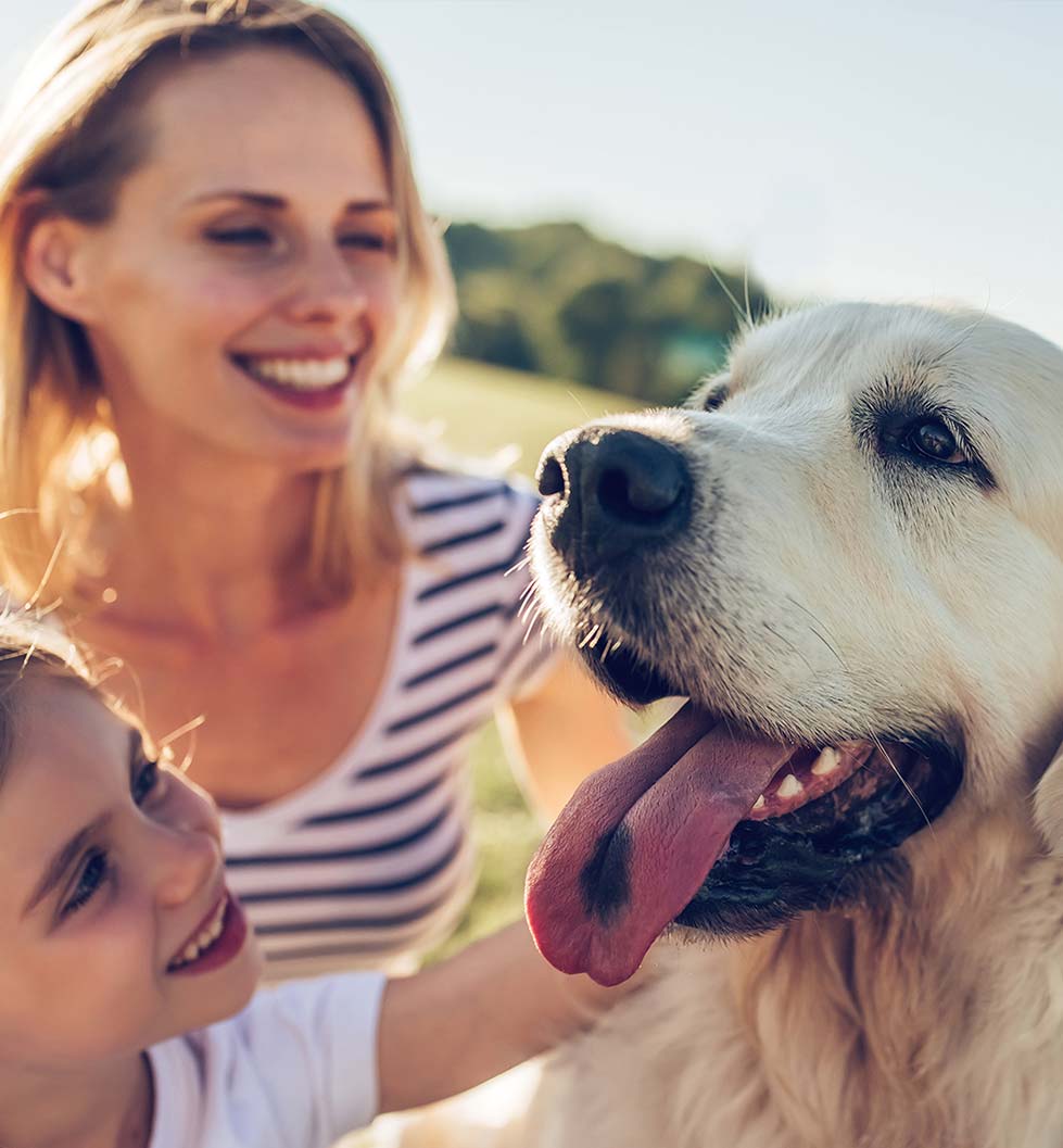 Township Residences - Centennial CO - Pet Friendly
